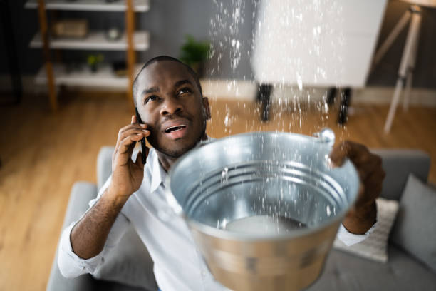Best Commercial water damage restoration  in St Martins, MO