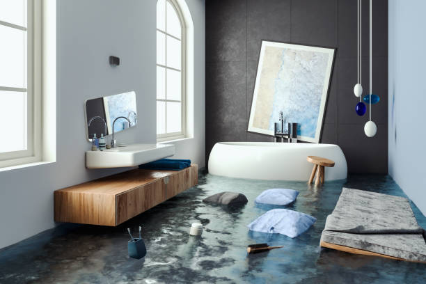Best 24/7 water damage repair  in St Martins, MO