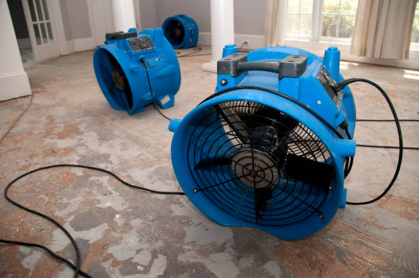Best Flood restoration services  in St Martins, MO