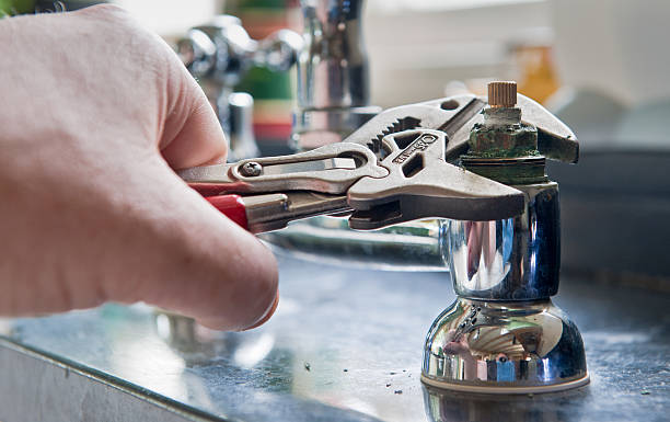 Best Professional water damage repair  in St Martins, MO