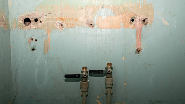Best Water damage contractors near me  in St Martins, MO