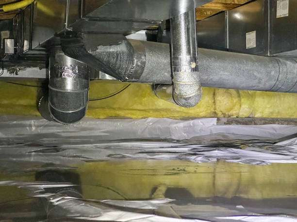 Best Local water damage restoration  in St Martins, MO