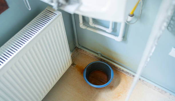 Best Emergency water damage restoration  in St Martins, MO