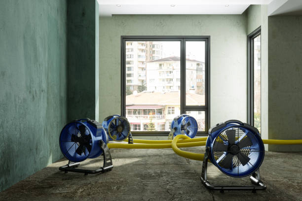 Best Residential water damage restoration  in St Martins, MO